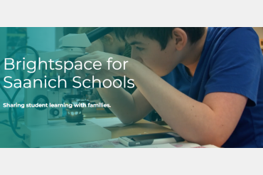 Brightspace- Learning updates (report cards)